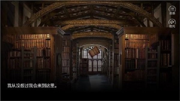 hp我能做的只有开枪完结破解版截图2