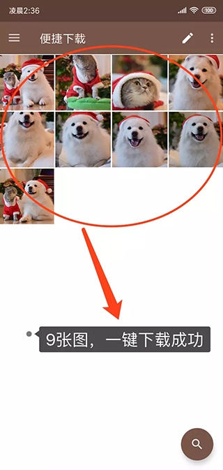 便捷下载app