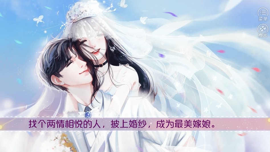 婚姻养成手札破解版金手指完Y2024