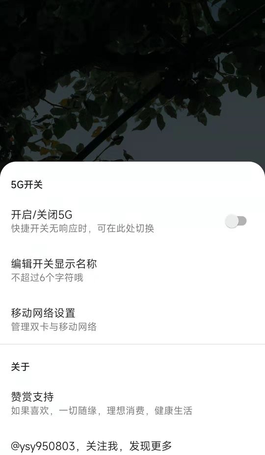 MIUI5G开关app截图3