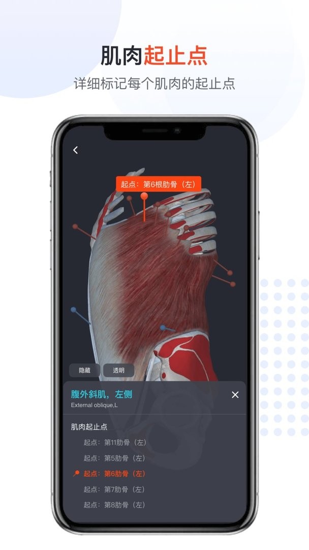 口袋人体解剖手机版截图1