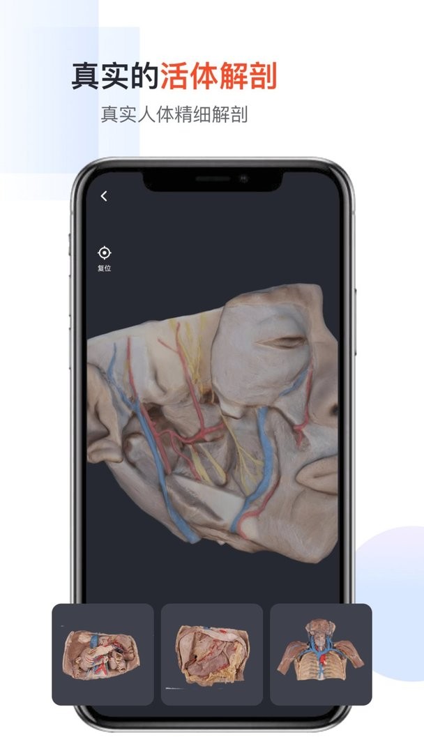 口袋人体解剖手机版截图2