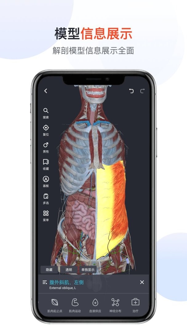 口袋人体解剖手机版截图3