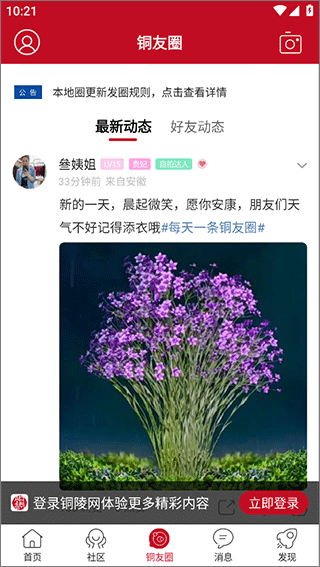 铜陵网手机版截图3