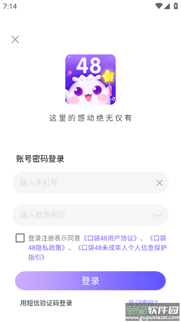 口袋48app