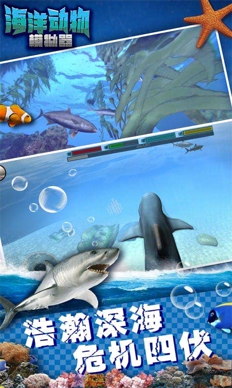 海洋动物模拟器官方版