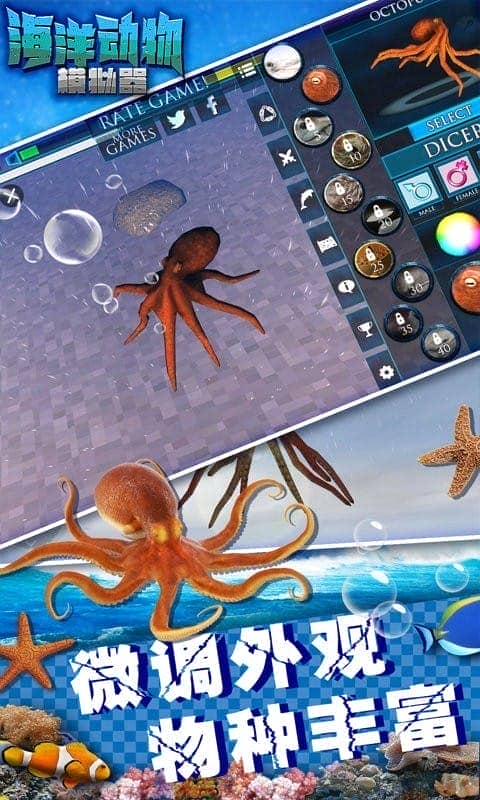 海洋动物模拟器官方版截图2