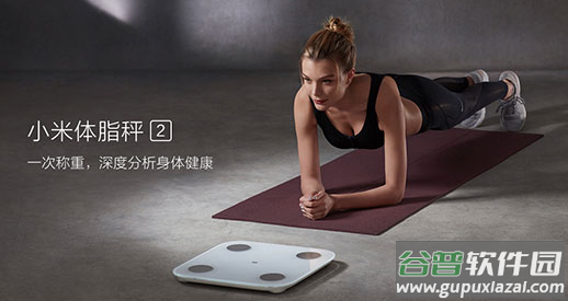 小米体脂秤app(Zepp Life)