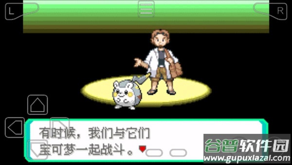 口袋妖怪究极绿宝石5.4手机版截图3