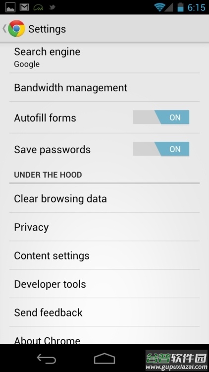 chrome浏览器截图4