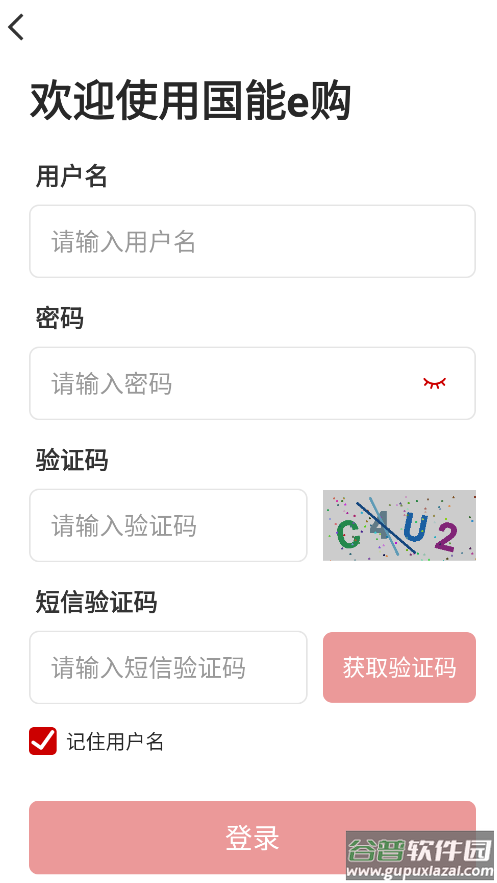 国能e购app截图1
