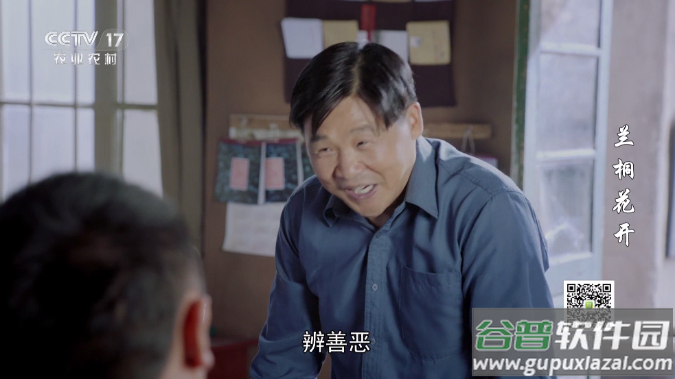 小飞电视超清版app截图5