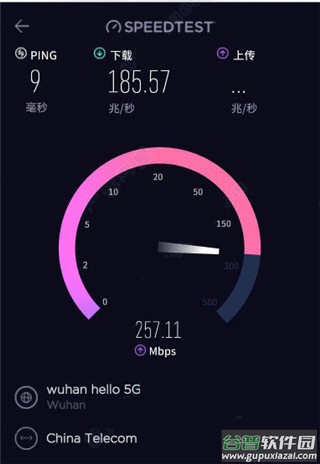 speedtest在线测速中文版