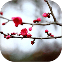 梅花易数笔记手机版v1.5.2
