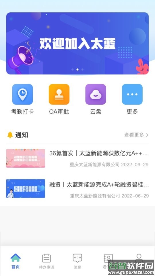 太蓝OA专业版截图1