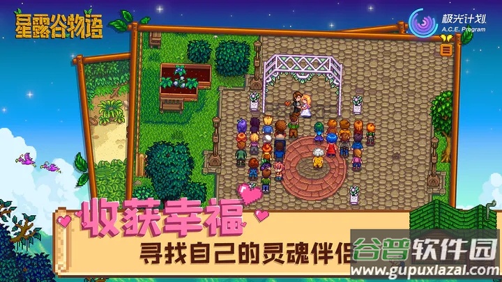 Stardew Valley截图2