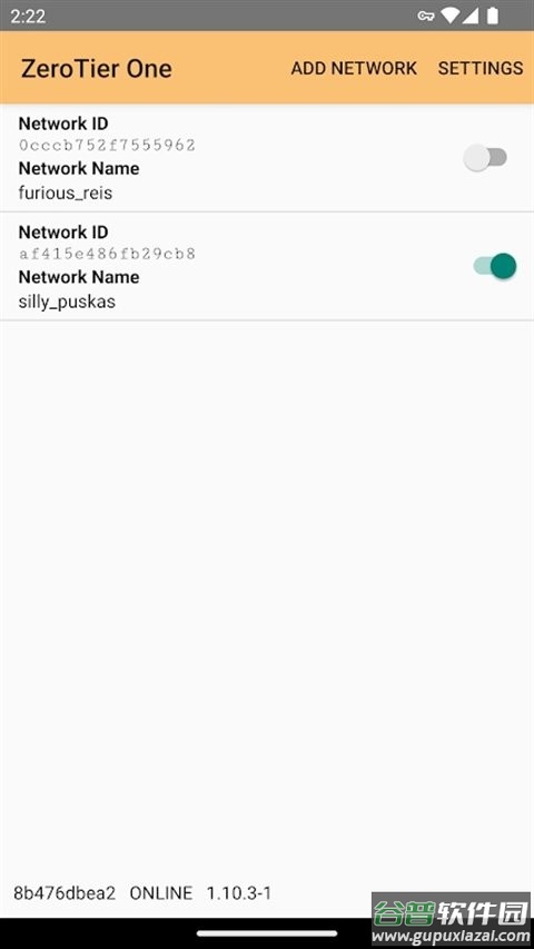 ZeroTier手机端截图2