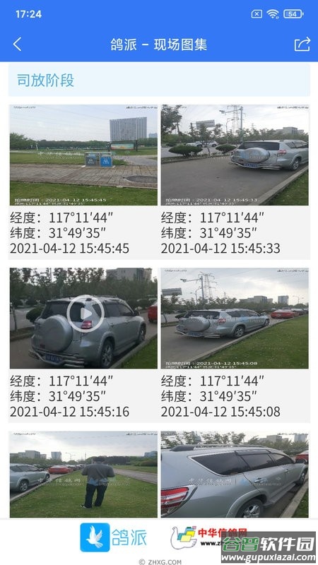 鸽派监赛版
