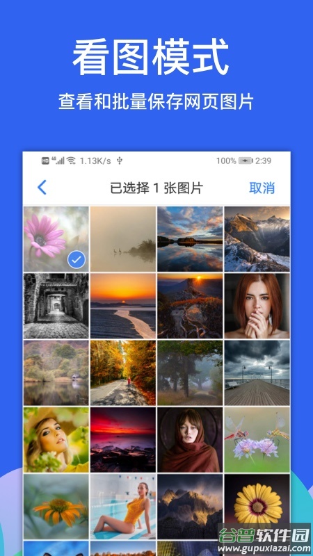 alook浏览器下载最新版截图3
