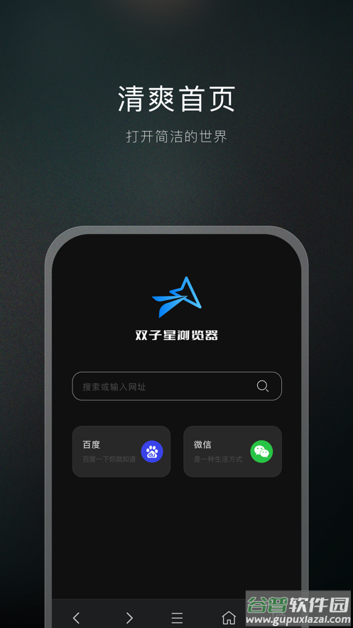 双子星浏览器免费版截图3