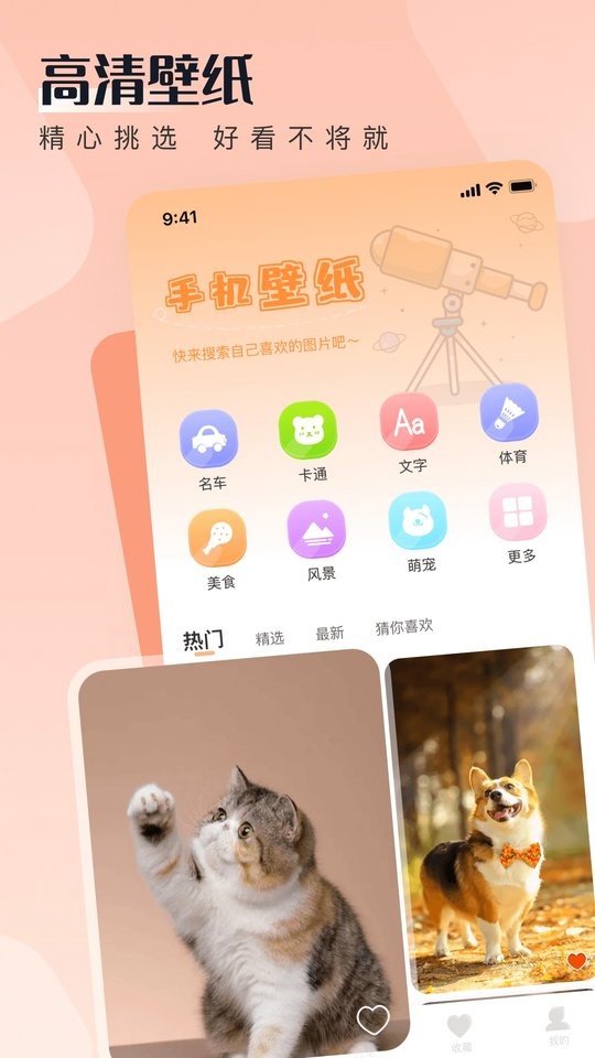 walp壁纸app截图3