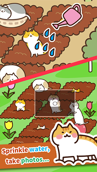 猫咪田园正版手游截图3