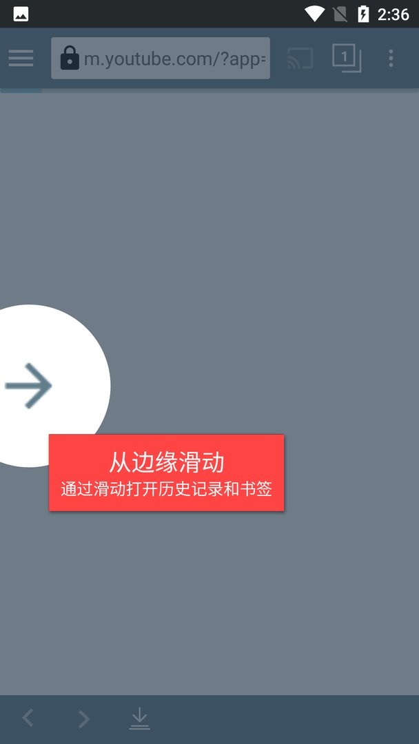 tubemate软件截图2