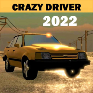 疯狂街道游戏下载(Crazy Raze)v2 安卓版