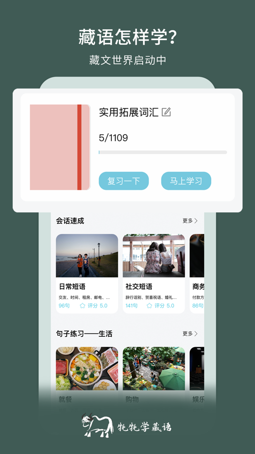 牦牦学藏语APP截图2