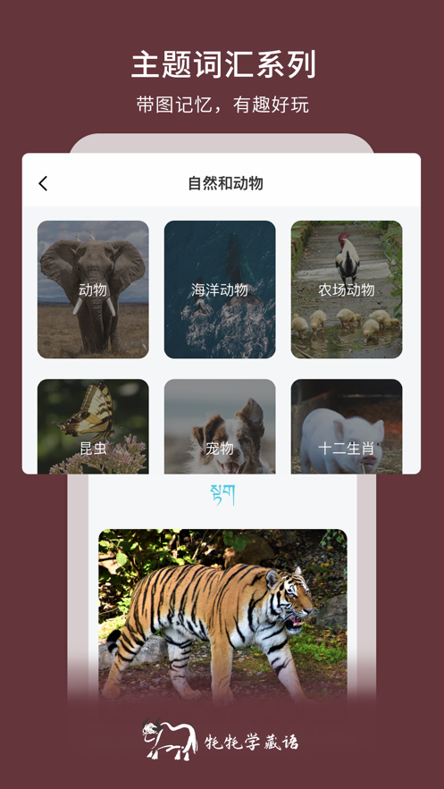 牦牦学藏语APP截图5