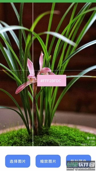 兰微工具盒子APP