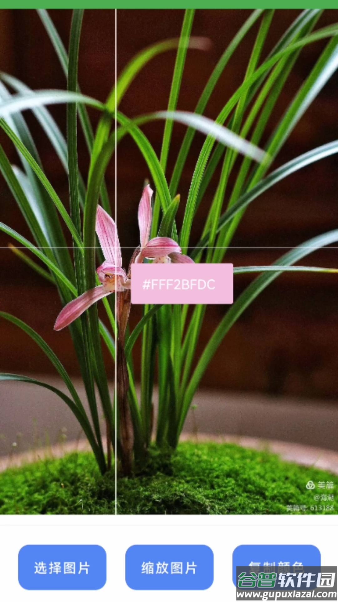 兰微工具盒子APP截图2