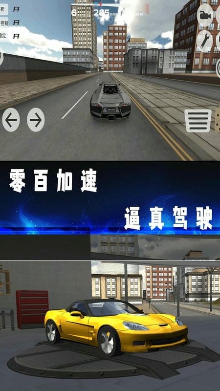 豪车驾驶模拟器手机版截图1