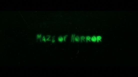 恐怖迷宫双人联机手游(Maze Of Horror)截图1