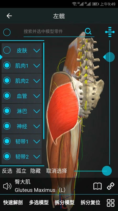 医维度3d人体解剖截图1