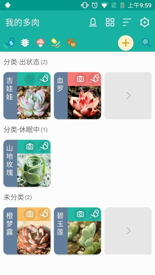 多肉成长记录截图1