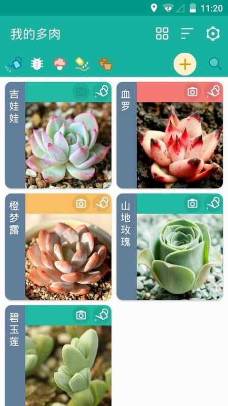 多肉成长记录截图4