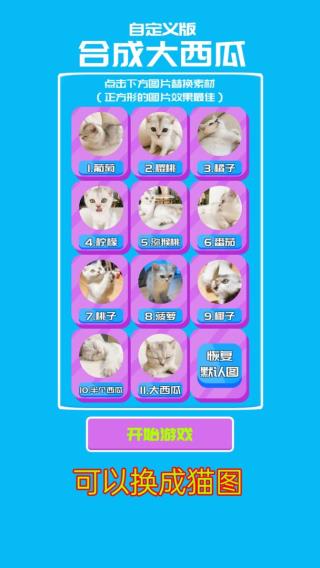 自定义版合成大西瓜下载安装截图2
