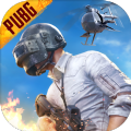 地铁逃生鬼头启动器(PUBG MOBILE)v2.7.0