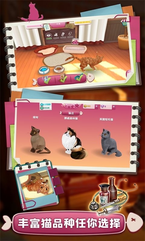 撸猫模拟器最新版截图1