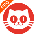 猫眼专业版实时票房appv8.5.0