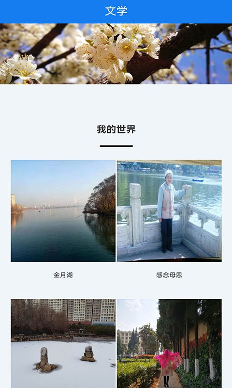 宣威之窗软件截图4