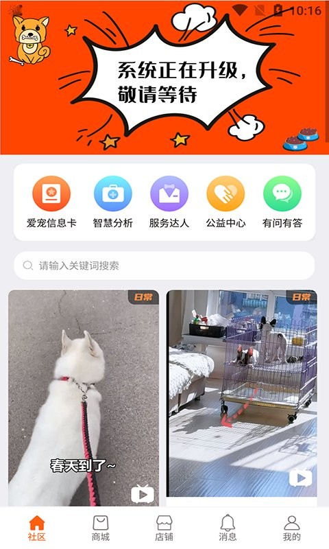 世纪天宠最新版截图2