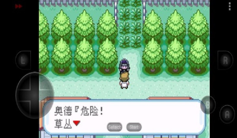 口袋妖怪究极之路游戏下载