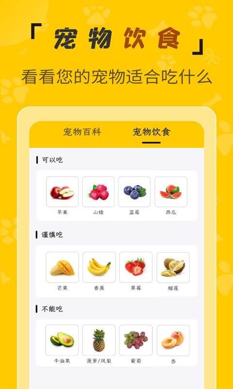 人猫翻译机app下载