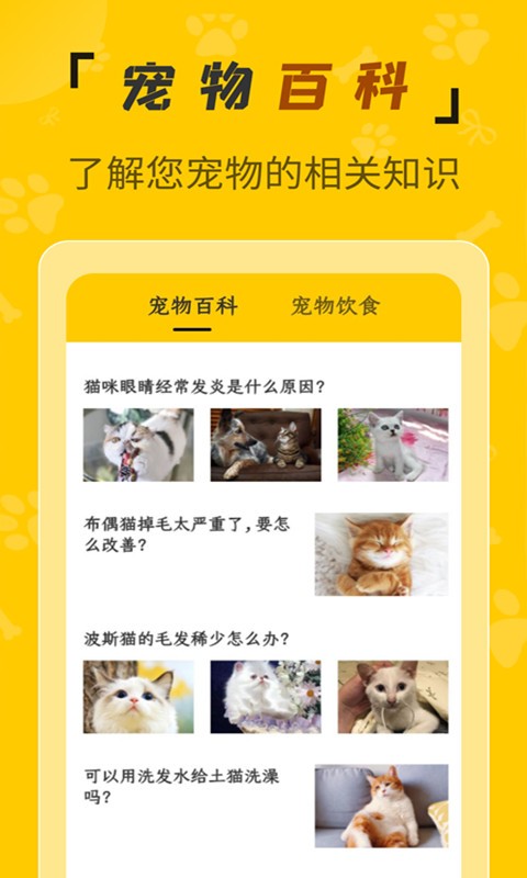 人猫翻译机免费版截图3