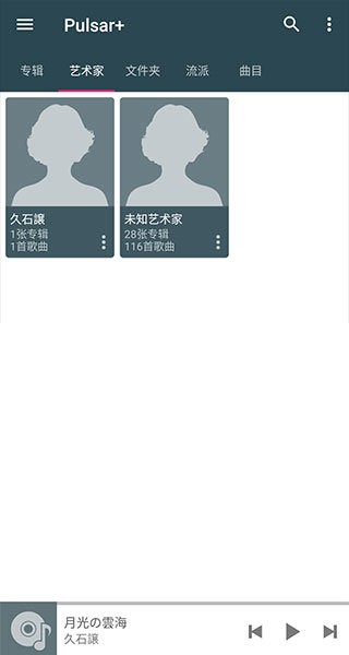 脉冲音乐播放器(Pulsar Music Player)截图3