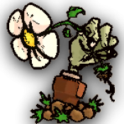 植物大战僵尸sIs版v1.3.2