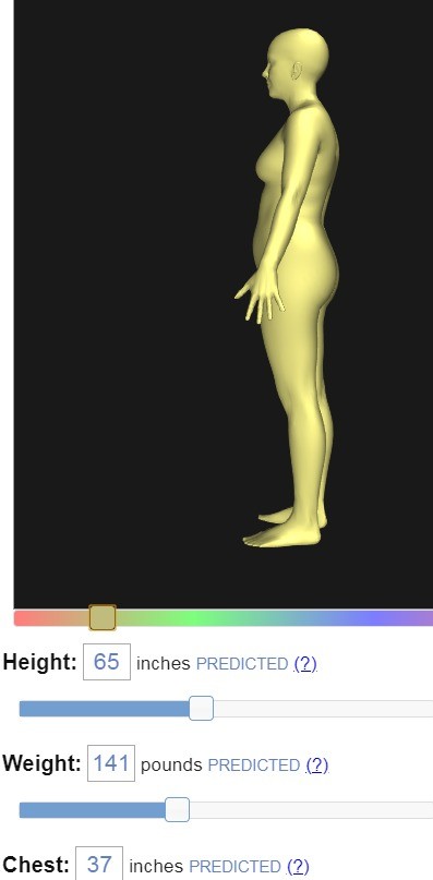 Bodyvisualizer模拟器截图2