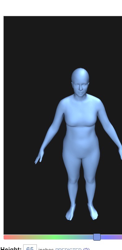 Bodyvisualizer模拟器截图3